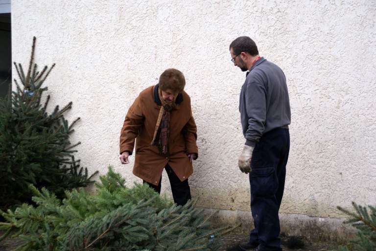 Weihnachtsbaumverkauf 2008 Bild Nr.009